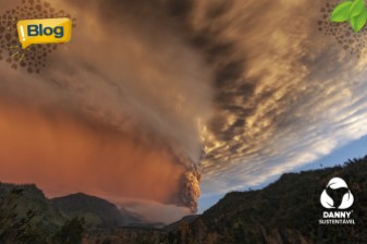 El Niño Brasil